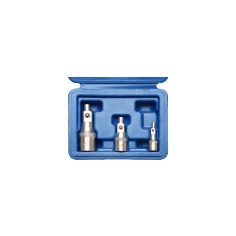 BGS TECHNIC BGS 198 EXTENSIONS AVEC SUPPORT AIMANTÉ 6,3 (1/4) - 10 (3/8) (8-12,5 1/2) 3 BGS TECHNIC BGS 198 EXTENSIONS AVEC SUPPORT AIMANTÉ 6,3 (1/4) - 10 (3/8) (8-12,5 1/2)