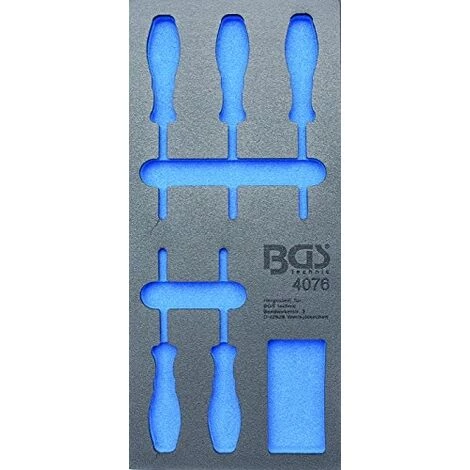 BGS TECHNIC 4076-1 BGS 1/3, VIDE POUR?: TOURNEVIS DE PROFIL T, T6 TAPIS DE CHARIOT T10, 5 PIÈCES 3 BGS TECHNIC 4076-1 BGS 1/3, VIDE POUR?: TOURNEVIS DE PROFIL T, T6 TAPIS DE CHARIOT T10, 5 PIÈCES