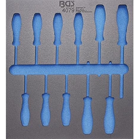 BGS TECHNIC 4079-1 BGS 2/3, VIDE POUR?: TOURNEVIS DE PROFIL T, T6 TAPIS DE CHARIOT T40, 11 PIÈCES 3 BGS TECHNIC 4079-1 BGS 2/3, VIDE POUR?: TOURNEVIS DE PROFIL T, T6 TAPIS DE CHARIOT T40, 11 PIÈCES