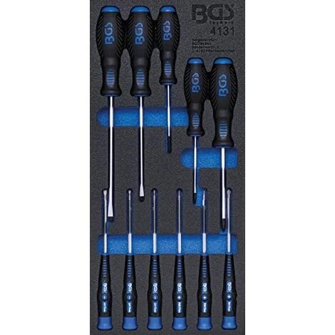 BGS TECHNIC BGS 4131 | INSERT DE SERVANTE D'ATELIER 1/3 : JEU DE TOURNEVIS | 11 PIÈCES 3 BGS TECHNIC BGS 4131 | INSERT DE SERVANTE D'ATELIER 1/3 : JEU DE TOURNEVIS | 11 PIÈCES