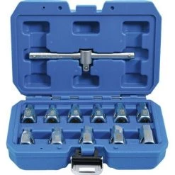 CLES DE BOUCHONS DE VIDANGE BGS TECHNIC 12 PIECES CHROME VANADIUM