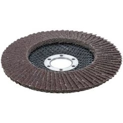 Disque A Lamelle Bgs Technic 125 Mm - Grain 80 7 Disque A Lamelle Bgs Technic 125 Mm - Grain 80 -BGS TECHNIC Soldes 65510531 3