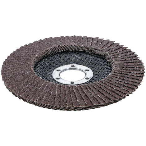 Disque A Lamelle Bgs Technic 125 Mm - Grain 80 5 Disque A Lamelle Bgs Technic 125 Mm - Grain 80 – Image 3