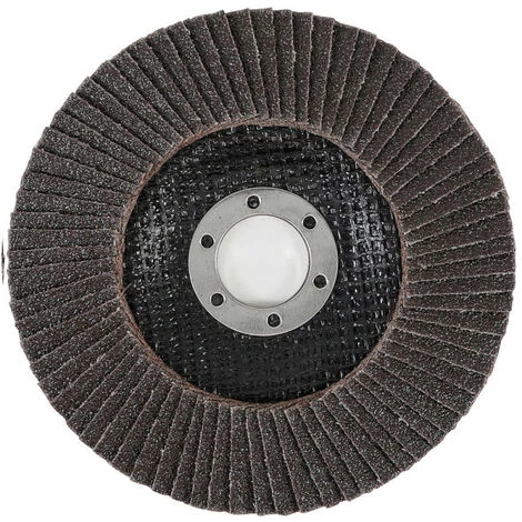 Disque A Lamelle Bgs Technic 125 Mm - Grain 60 5 Disque A Lamelle Bgs Technic 125 Mm - Grain 60 – Image 3