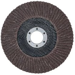 BGS TECHNIC Lot 5 Disques A Lamelles Bgs ø 125 Mm 22 Mm Grain De 80 -BGS TECHNIC Soldes 65757846 3