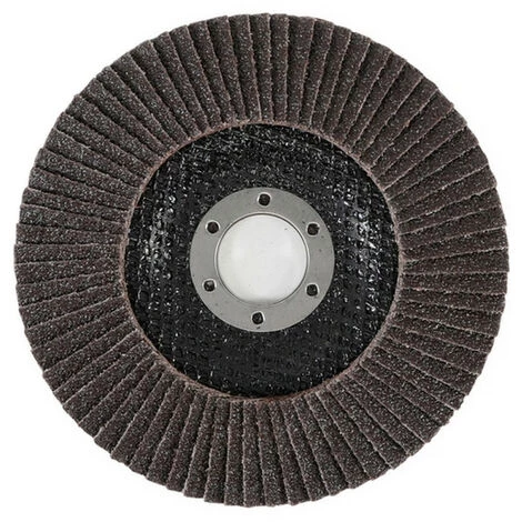 Disques 125 Mm A Lamelles Bgs Technic - Grain 40 - Lot 10 Disques 5 Disques 125 Mm A Lamelles Bgs Technic - Grain 40 - Lot 10 Disques – Image 3