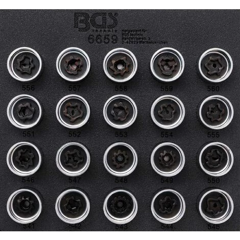 BGS TECHNIC INSERT DE SERVANTE D'ATELIER 1/6 : JEU D'OUTILS DE RÉGLAGE POUR ÉCROUS DE JANTES POUR VAG | 20 PIÈCES BGS 6659 3 BGS TECHNIC INSERT DE SERVANTE D'ATELIER 1/6 : JEU D'OUTILS DE RÉGLAGE POUR ÉCROUS DE JANTES POUR VAG | 20 PIÈCES BGS 6659
